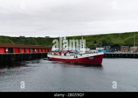 Ayr ha registrato il peschereccio da traino di mare profondo il Sir Miles AR94 lasciando il porto di Scrabbster a pescare nel Mare del Nord. Foto Stock