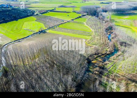 Area agricola, fiume e pioppi boschetto. Foto Stock