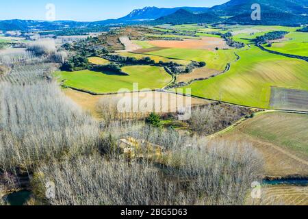 Area agricola e pioppi boschetto. Foto Stock