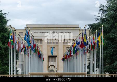 Allée des Nations, con le bandiere dei paesi membri presso l'Ufficio delle Nazioni Unite, Ginevra, Svizzera Foto Stock