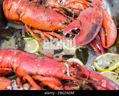 aragoste cotte nel vassoio Foto Stock
