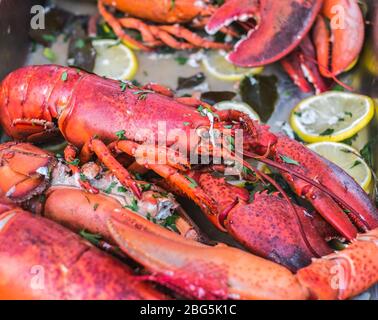 aragoste cotte nel vassoio Foto Stock