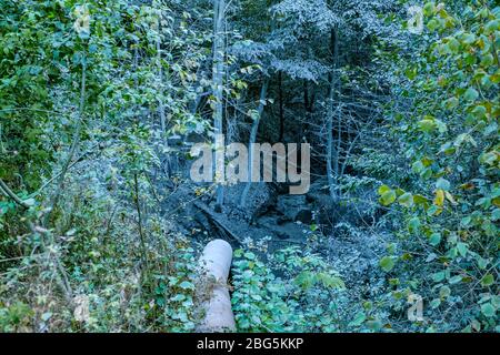 Tossico vasta scarica, rame residui minerari, Geamana village, Rosia Montana, Romania Foto Stock