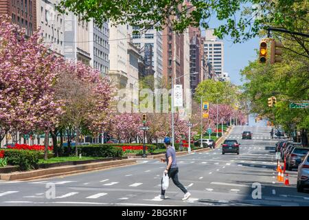 Il traffico è scomparso da Park Avenue per impatto della COVID-19 a Uptown Manhattan New York City NY USA il 19 2020 aprile. Foto Stock