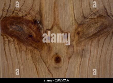 Trama divertente di legno fantasia primo piano. Legno segato fondo in tonalità di legno marrone chiaro. Asse di parquet. Foto Stock