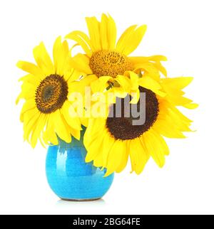 Girasoli luminosi in vaso isolato su bianco Foto Stock