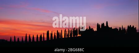 Italia. Toscana. Tramonto su collina con fila di alberi di pioppo e colonica. Foto Stock