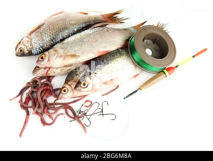 Pesci e attrezzi da pesca isolati su bianco Foto Stock