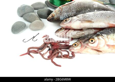 Pesci e attrezzi da pesca isolati su bianco Foto Stock