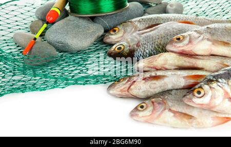 Pesci e attrezzi da pesca isolati su bianco Foto Stock