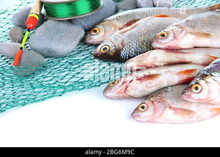 Pesci e attrezzi da pesca isolati su bianco Foto Stock