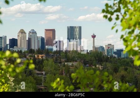 Lo skyline della città di Calgary, Alberta, Canada visto da lontano con gli alberi e il fiume Elbow. Foto Stock