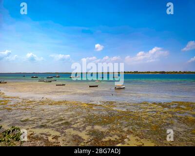 Bassa marea sull'isola di Wasini in Kenya, Africa. Splendida vista sul mare e piccole barche. Foto Stock