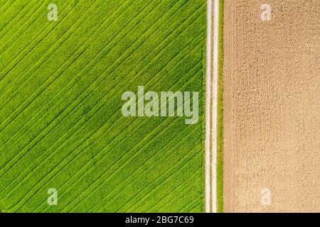 Vista aerea dei campi agricoli in condizioni di sole, campo con un prato verde da un lato e il campo arato dall'altro, è rurale tra Foto Stock