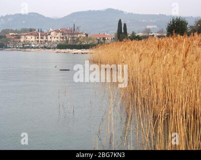 Promenade mit Bäumen und historischen Häusern am See Ufer Foto Stock