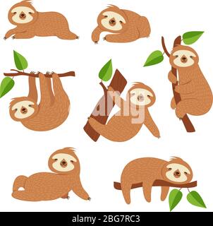 Slots carini. Sloth di cartone animato appeso sul ramo dell'albero. Bambino giungla animale vettore isolato caratteri. Pigro sloth selvatico, animale di fauna selvatica lento sull'illustrazione dell'albero Illustrazione Vettoriale
