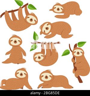 Slots di cartone animato. Cute sloth appeso sul ramo nella foresta pluviale amazzonica. Pigro giungla animali vettori personaggi. Pigro animale selvatico, fauna selvatica in foresta pluviale illustrazione Illustrazione Vettoriale