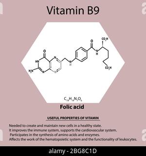 Vitamina B9. Formula chimica molecolare dell'acido folico. Proprietà utili della vitamina. Infografica. Illustrazione vettoriale su sfondo isolato. Illustrazione Vettoriale