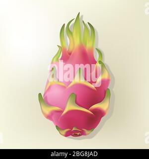 Pitaya o Dragon Fruit Illustration, un vettore realistico Illustrazione Vettoriale