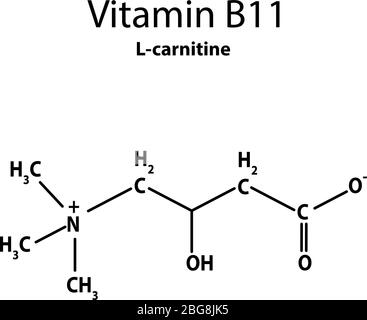 Vitamina B11. L-carnitina formula chimica molecolare. Infografica. Illustrazione vettoriale su sfondo isolato. Illustrazione Vettoriale