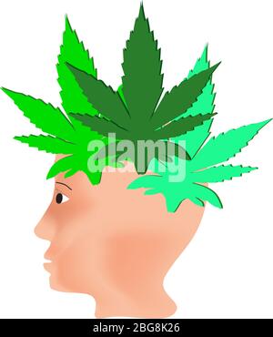 L'effetto della canapa sugli esseri umani. Trattamento con cannabinoidi. Proprietà del logo marijuana. Capelli dalle foglie di marijuana sulla testa. Cannabis. Vettore Illustrazione Vettoriale