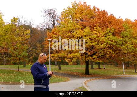 Montreal, Canada - 28 ottobre 2019 - un uomo che usa il suo smartphone che guarda i colori impressionanti del fogliame di caduta vicino a Mount Royal Foto Stock