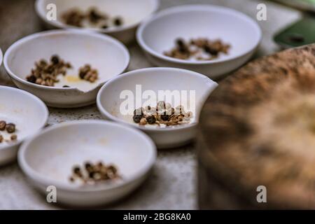 cucina di cibo tailandese in una lezione di cucina Foto Stock