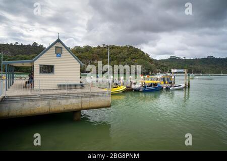 Tour in barca ormeggiate al Whitianga Wharf, Whitianga, Penisola di Coromandel, Isola del Nord Nuova Zelanda Foto Stock