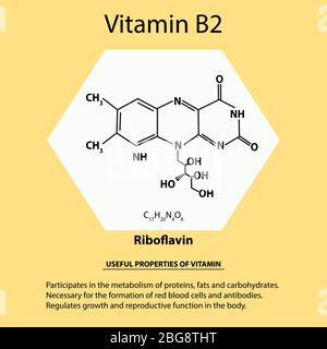 Vitamina B2. Formula chimica molecolare della riboflavina. Proprietà utili della vitamina. Infografica. Illustrazione vettoriale su sfondo isolato. Illustrazione Vettoriale