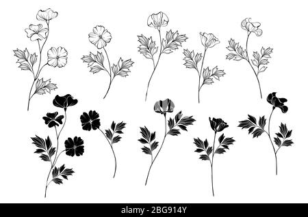 Set di fiori Monochome (bianco e nero) California Poppy su sfondo isolato. Illustrazione Vettoriale