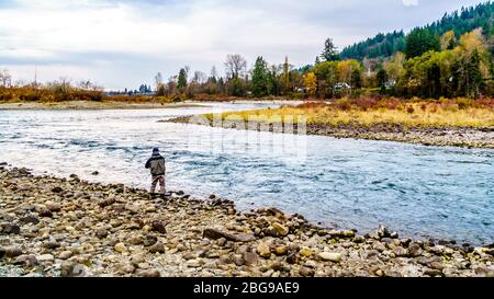 Pesca sul fiume Stave durante la Salmon Run a Hayward Lake, lungo il torrente della diga Ruskin vicino a Mission, British Columbia, Canada Foto Stock