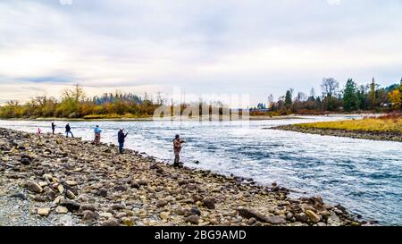 Pesca sul fiume Stave durante la Salmon Run a Hayward Lake, lungo il torrente della diga Ruskin vicino a Mission, British Columbia, Canada Foto Stock