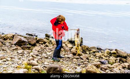 Ragazzo che detiene un salmone morto dopo la riproduzione nel fiume Stave durante l'annuale Salmon Run a Hayward Lake vicino Mission, British Columbia, Canada Foto Stock