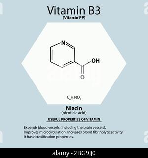 Vitamina B3. Un acido nicotinico. Niacina, vitamina PP. Formula chimica  molecolare. Infografica. Illustrazione vettoriale su sfondo isolato  Immagine e Vettoriale - Alamy