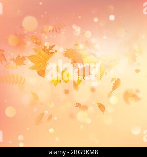 Composizione autunnale con foglie di acero. Vettore EPS 10 Illustrazione Vettoriale