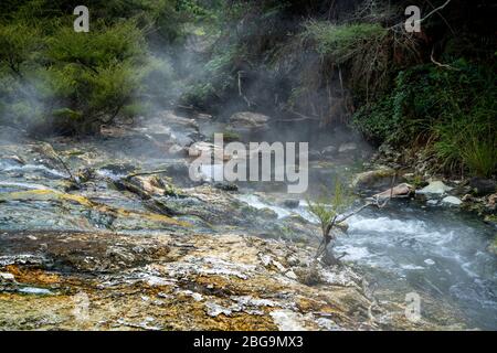 La Valle Vulcanica di Waimangu, Rotorua, Isola del nord, Nuova Zelanda Foto Stock