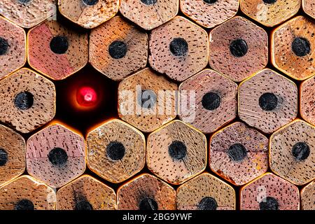 Un macro OCD di una pila molto ordinata di nuova matita non affilata n.2 termina con un punto di affilatura rosso che innesca una matita colorata nella pila. Foto Stock