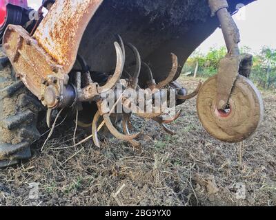Lame taglierina Mini Tractor Cullator su un giardino arato. Tagliabasini ravvicinati Foto Stock