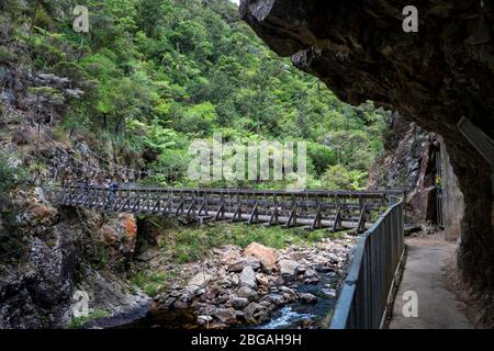 Ponte sospeso sul torrente di montagna sulla passeggiata Karangahake Windows, Waikino, Isola del Nord Nuova Zelanda Foto Stock