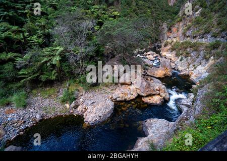 Vista della gola di Karangahake dalla passeggiata dei finestrini di Karangahake, Waikino, Isola del Nord Nuova Zelanda Foto Stock
