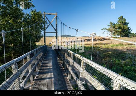 Ponte sospeso sul fiume Ohinemuri sul percorso ferroviario di Hauraki, Isola del Nord, Nuova Zelanda Foto Stock