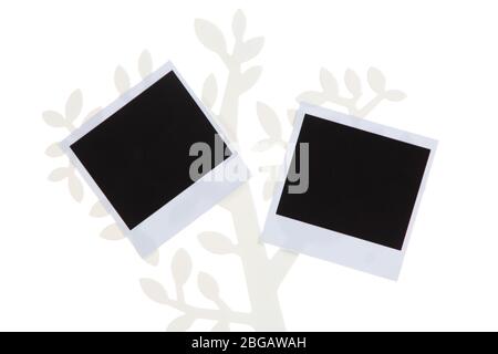 Supporto in forma di albero con schede fotografiche istantanee isolate su bianco Foto Stock