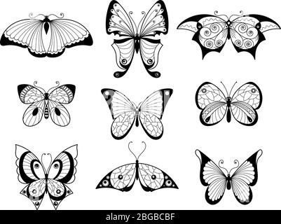 Set di farfalle e insetti diversi con bellissimi modelli sulle ali. Illustrazioni vettoriali disegnate a mano Illustrazione Vettoriale