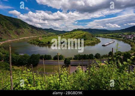 Moselle loop in primavera, Germania Foto Stock