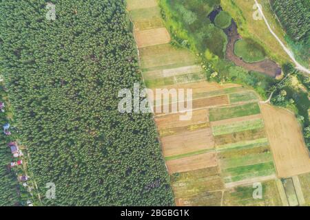 Paesaggio rurale vista aerea. Villaggio nella foresta. Terreno agricolo. Lago sul prato Foto Stock