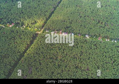 Paesaggio rurale vista aerea. Villaggio nella foresta Foto Stock