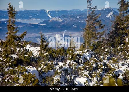 Città di Ružomberok nella valle, Slovacchia Foto Stock