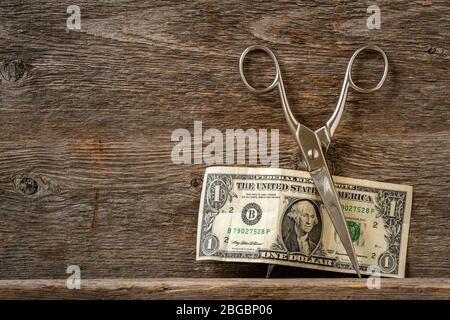 Forbici che tagliano una fattura del dollaro. Concetto sul tema della svalutazione del denaro. Foto Stock