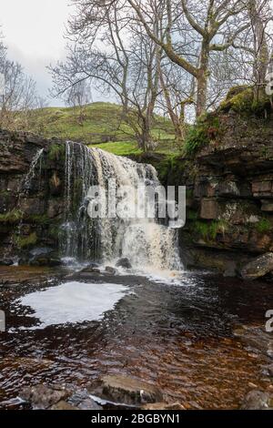 East Gill Force Unbelow Keld, Swaledale: Una cascata nel Yorkshire Dales National Park, North Yorkshire, Inghilterra, Regno Unito Foto Stock