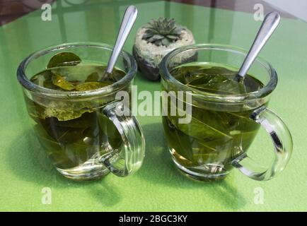 Tè Coca in tazze di vetro, fatto da foglie secche della pianta di coca, che è nativo del Sud America Foto Stock